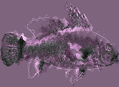 fisk III,2020,(blandet media) av Alex Caminker