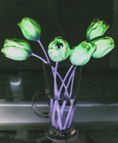 lysbrytning, 2019, (fotomanipulasjon) av Alex Caminker