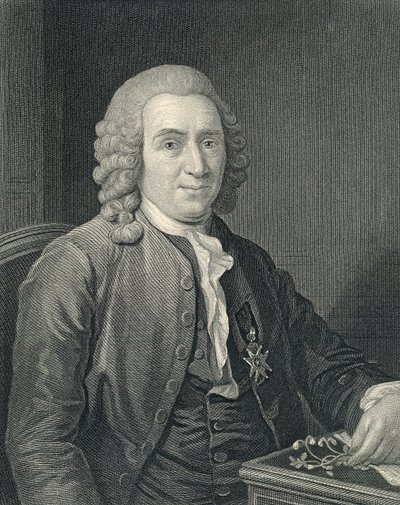 Portrett av Carolus Linnaeus av Alexander (after) Roslin