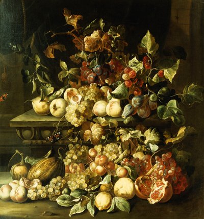 Druer, fiken, bringebær og annen frukt på en steinhylle, av Alexander Coosemans