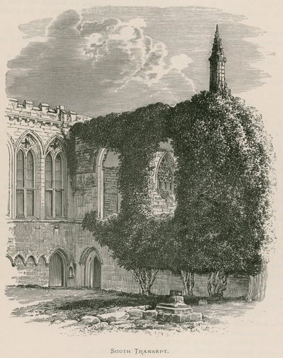 Bolton Priory, South Transept av Alexander Francis Lydon