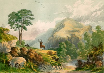 Illustrasjon for Wilsons adresse til en vill hjort av Alexander Francis Lydon