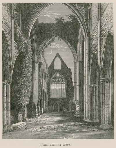 Tintern Abbey, kor, ser vestover av Alexander Francis Lydon