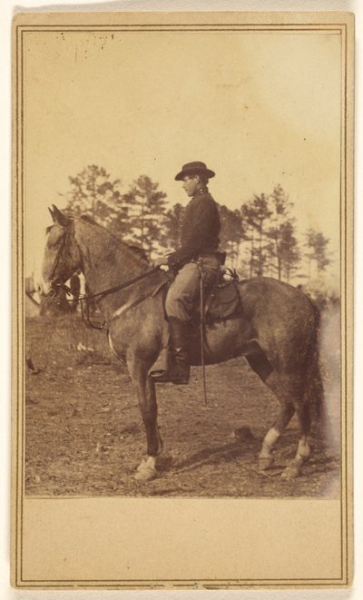  av Alexander Gardner
