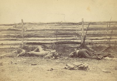 Utsikt i feltet, på vestsiden av Hagerstown Road, etter slaget ved Antietam, ..., 1862. av Alexander Gardner