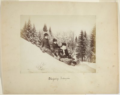 Kjelkekjøring, ca. 1873 (albumintrykk (kompositt)) av Alexander Henderson