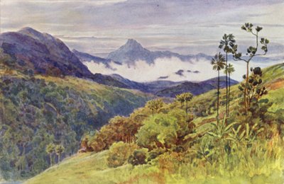 Morning Mists in the Valley of the Mahavelli Gangha (farge litho) av Alexander Henry Hallam Murray