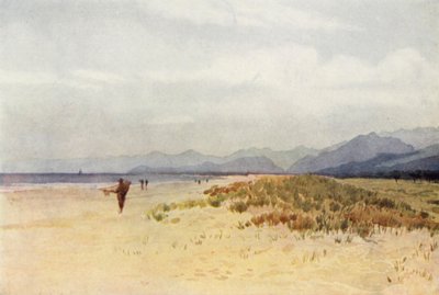 Havkysten nord for Viareggio (farge litho) av Alexander Henry Hallam Murray
