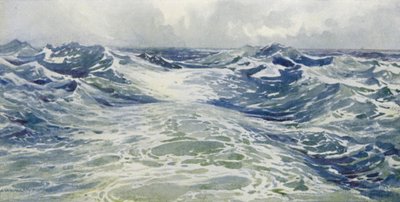The Wake of a P og O av Alexander Henry Hallam Murray