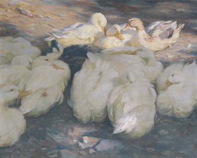 I kveldssolen av Alexander Koester