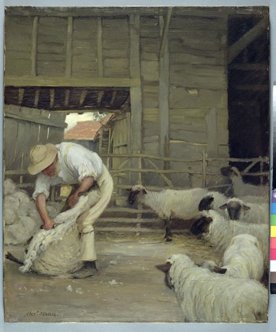 Saueklipping av Alexander Mann
