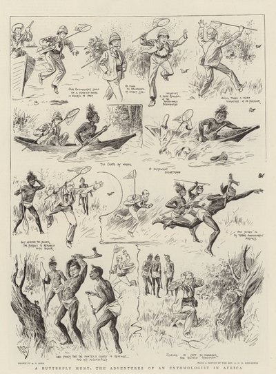En sommerfugljakt, eventyrene til en entomolog i Afrika av Alexander Stuart Boyd