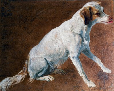 Fransk spaniel stamfar, av Alexandre-Francois Desportes (1661-1743), Frankrike av Alexandre Francois Desportes