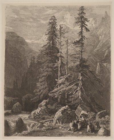 Raderingsstudier av Alexandre Calame, I, plansje 21 av Alexandre Calame