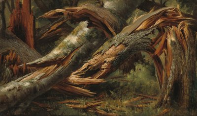 Falt tre av Alexandre Calame