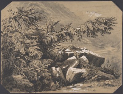 Skoger og fjell av Alexandre Calame