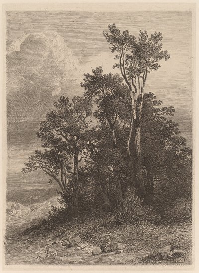 Grove of Trees av Alexandre Calame