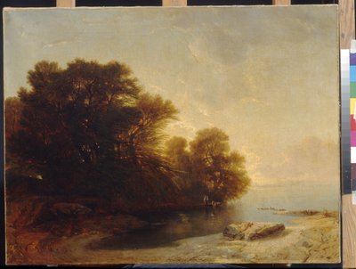 Trær ved innsjøen ved Calame, Alexandre (1810-1864). Olje på lerret, Dimensjon: 62x81. State A. Pushkin Museum of Fine Arts, Moskva av Alexandre Calame