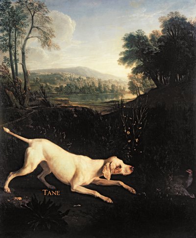 Ludvig XIVs hund, Tane av Alexandre Francois Desportes