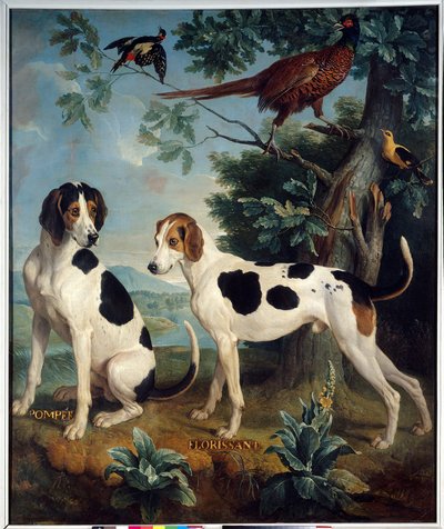 Pompee og Florissant, hundene til Ludvig XIV (1638-1715). Maleri av Francois Desportes (1661-1743) av Alexandre Francois Desportes