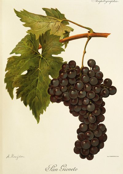 San Gioveto-drue av A. Kreyder av Alexis Kreyder
