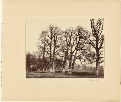  av Alfred Capel Cure