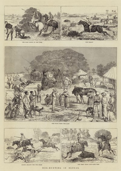 Hog-jakt i Bengal av Alfred Chantrey Corbould