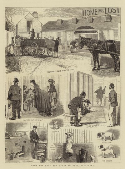 Hjem for tapte og sultne hunder, Battersea av Alfred Chantrey Corbould