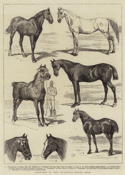 Skisser på Islington Horse Show av Alfred Chantrey Corbould
