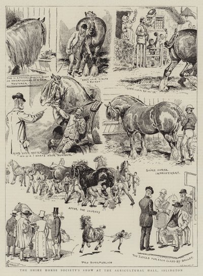 Shire Horse Society Show i Agricultural Hall, Islington av Alfred Chantrey Corbould