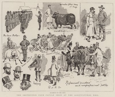 Smithfield Club Cattle Show i Agricultural Hall av Alfred Chantrey Corbould
