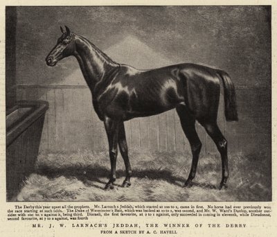 Mr J W Larnachs Jeddah, vinneren av derbyet av Alfred Charles Havell