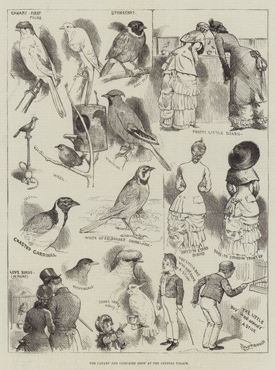 The Canary and Cage-Bird Show på Crystal Palace av Alfred Courbould