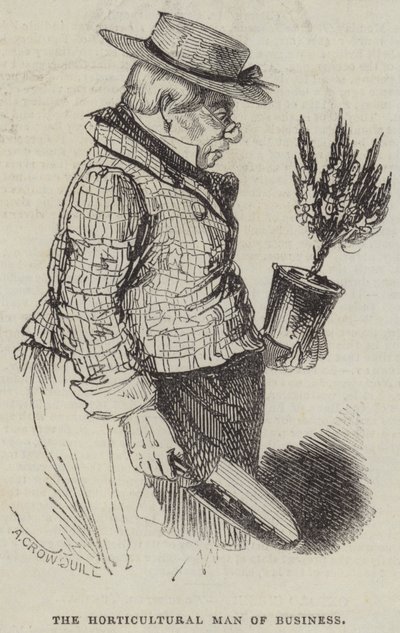 Næringslivets hagebruksmann av Alfred Crowquill