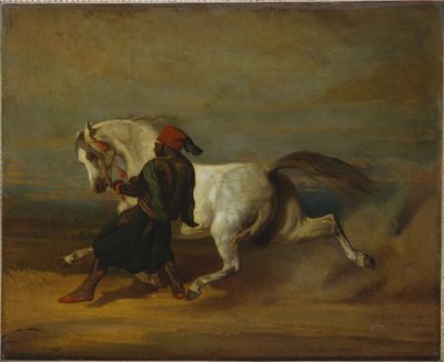 Pashas stolthet av Alfred Dedreux