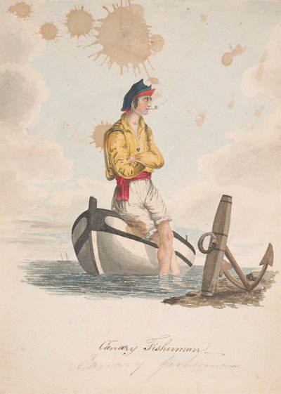 Kanarifisker av Alfred Diston