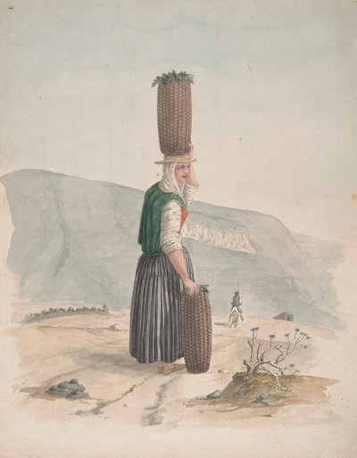 Trekullselger, Tenerife av Alfred Diston