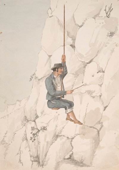 Gomero, Orchilla-samler av Alfred Diston