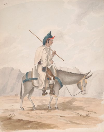 Grand Canary-Man on a Donkey av Alfred Diston