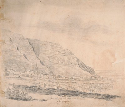 Realejo ovenfra, Tenerife av Alfred Diston