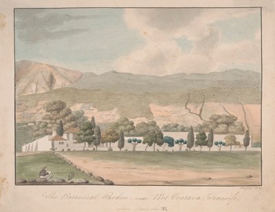 Den botaniske hagen nær Port Orotava, Tenerife av Alfred Diston