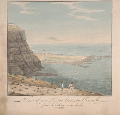 Utsikt fra en del av Port Orotava, Tenerife fra La Caldeva, nær Sancho av Alfred Diston