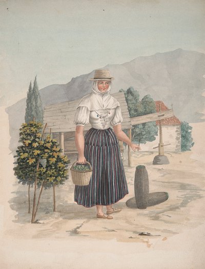 Kvinne fra El Miradero, Tenerife av Alfred Diston