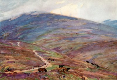 Exmoor Ponnier, under Dunkery Beacon (farge litho) av Alfred Heaton Cooper