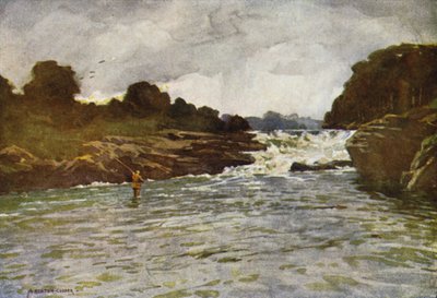 Kathleens Falls, Ballyshannon av Alfred Heaton Cooper