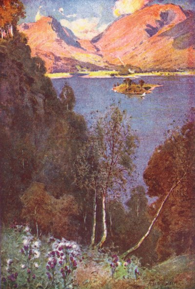  av Alfred Heaton Cooper