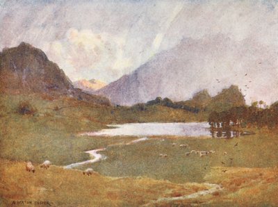  av Alfred Heaton Cooper