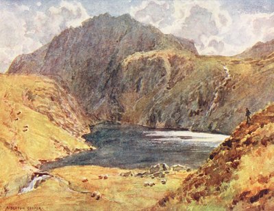  av Alfred Heaton Cooper