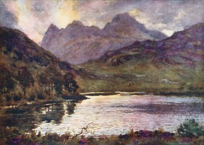  av Alfred Heaton Cooper