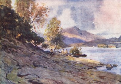  av Alfred Heaton Cooper